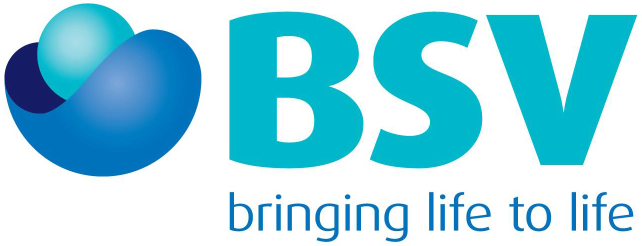 BSV